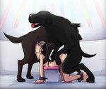 Porn cartoon dog 🍓 Animated Knot By Kitsunenone